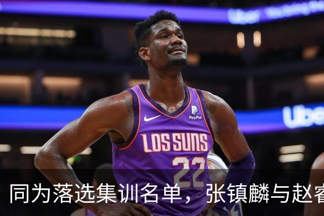 同为落选集训名单，张镇麟与赵睿的境遇差异何在？